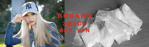крисы Алексин