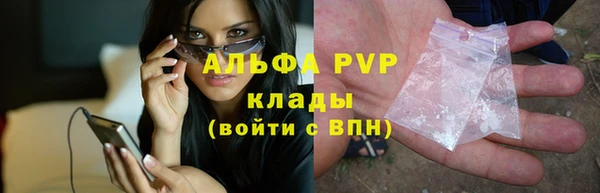 крисы Алексин