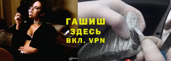 хмурый Арсеньев