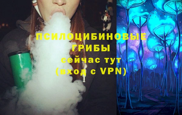 крисы Алексин