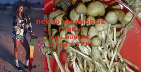 a pvp Аркадак