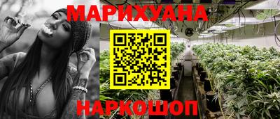 индика Тверь