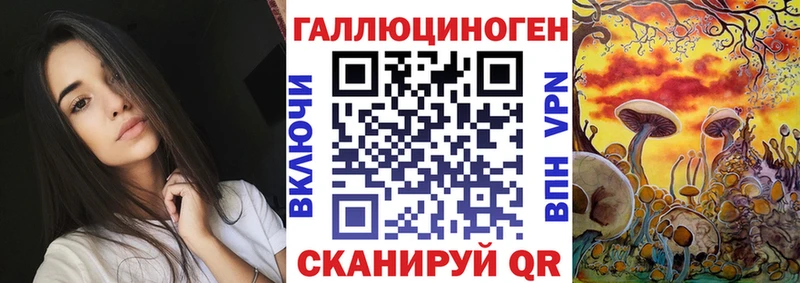 Псилоцибиновые грибы мицелий Петрозаводск