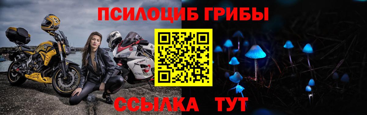 Псилоцибиновые грибы мухоморы Петрозаводск