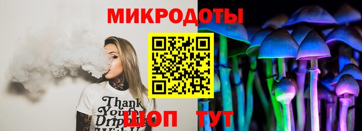 Псилоцибиновые грибы Cubensis  Вход с VPN  Петрозаводск  Псилоцибиновые грибы MAGIC MUSHROOMS 